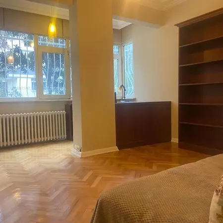 Apartment Serene & Spacious 3br In Istanbul's Prime Location - Discover Vibrant Seafront Living