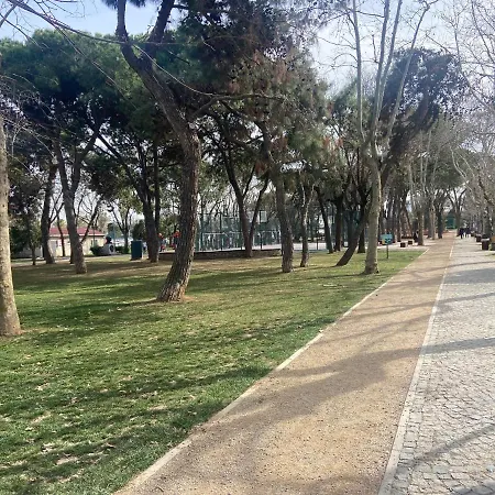 Serene & Spacious 3br In Istanbul's Prime Location - Discover Vibrant Seafront Living Apartment *